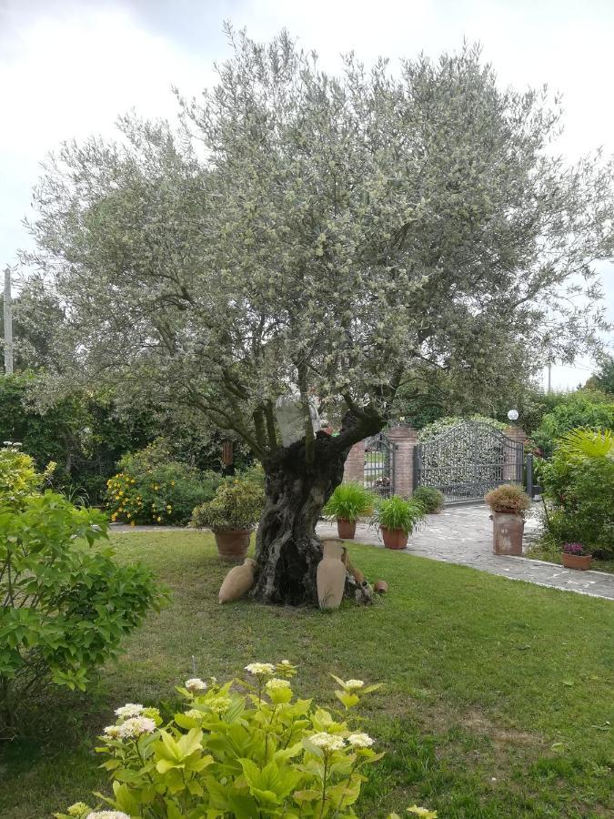 Casa Pianta Hotel Cavallino-Treporti Exterior foto